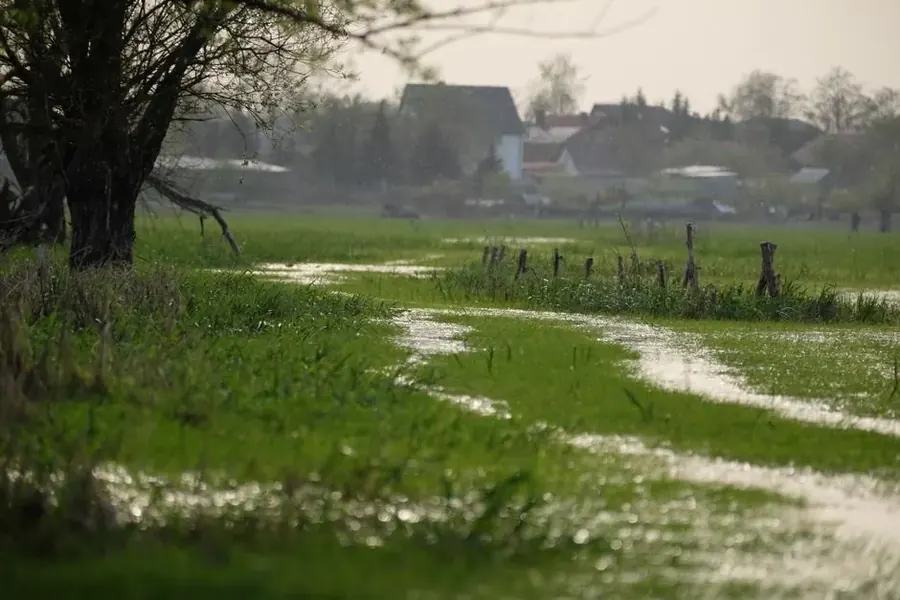 Flooded landscape near Fairfax County creek corridors showing spring flooding risk